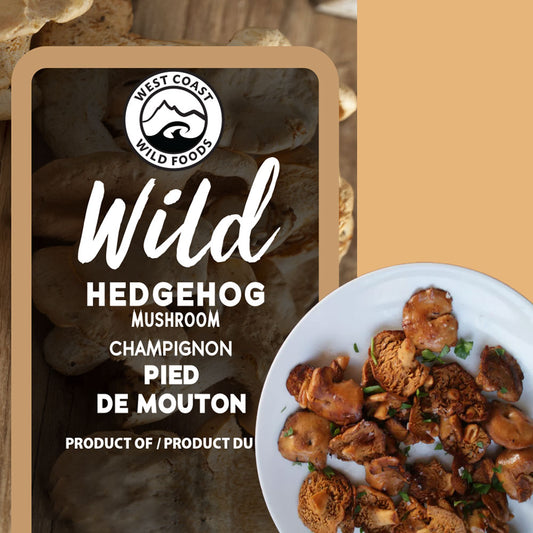 Wild hedgehog mushrooms and nettles