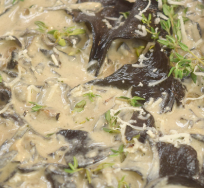 Black trumpet mushroom gravy sauce