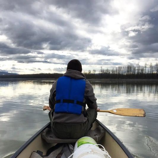 A Day in the Life: Searching for B.C. fiddleheads