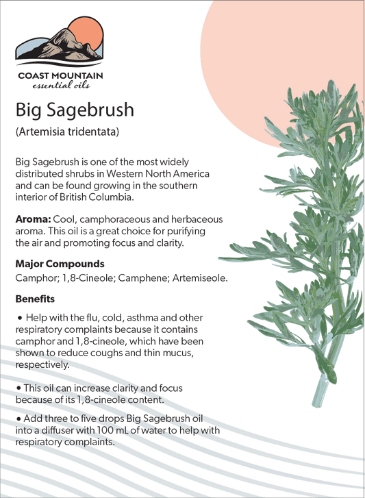 Big Sagebrush Essential Oil 5ml