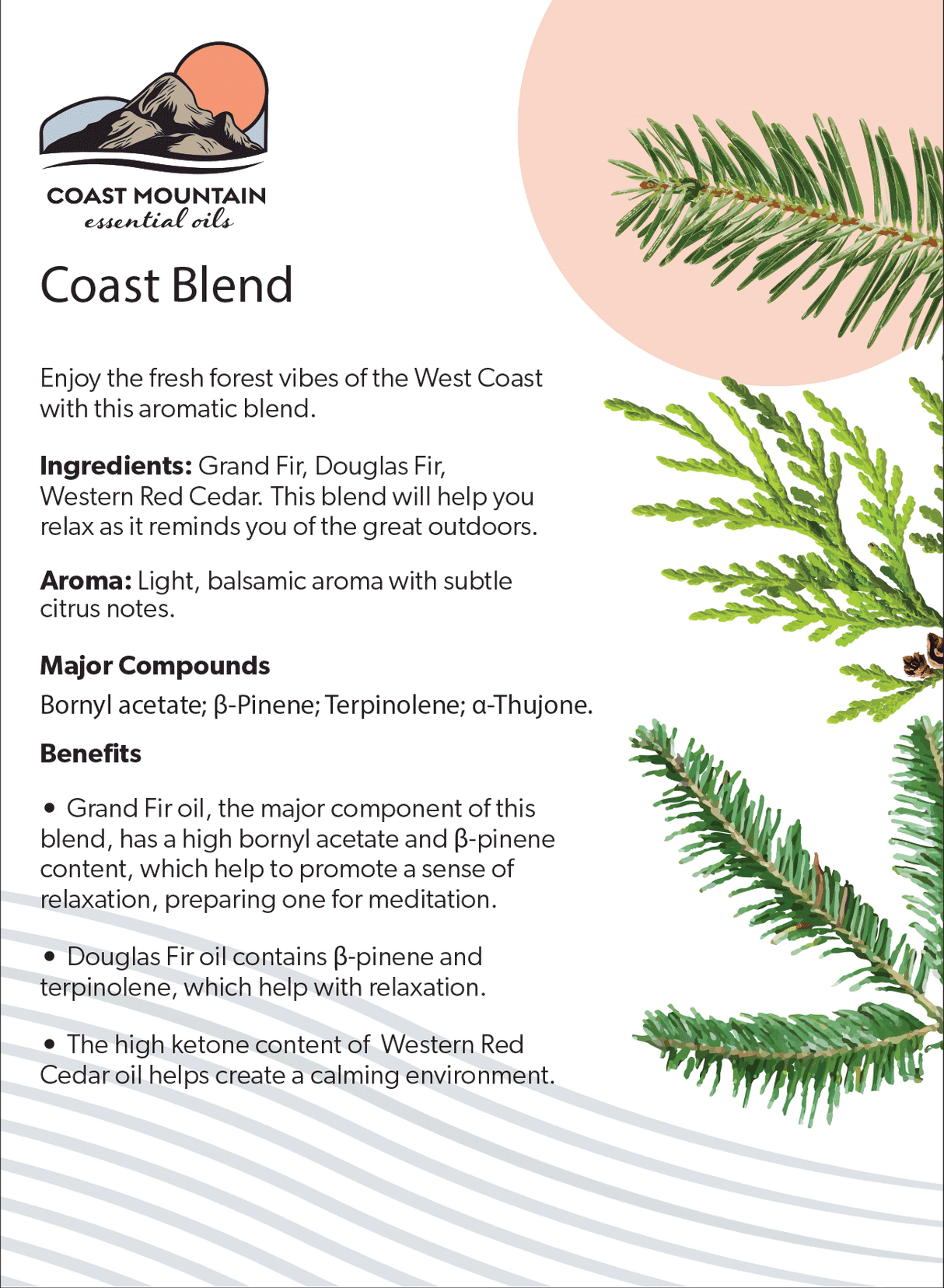 Coast Blend Essential Oil 5ml