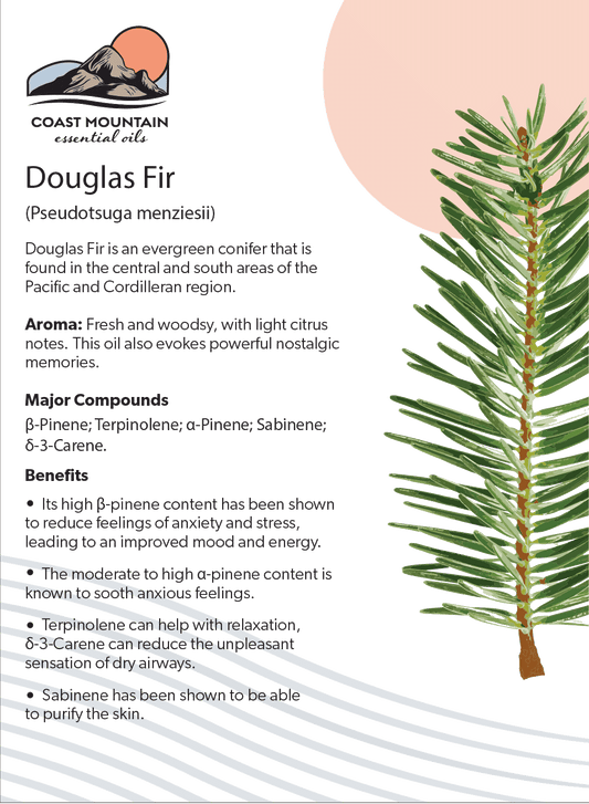 Douglas Fir Essential Oil