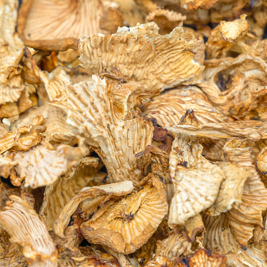 Dried Golden Chanterelle