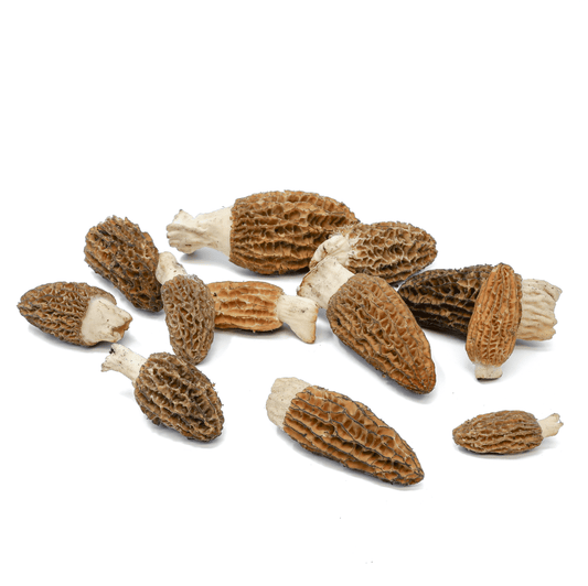 Fresh Wild Morel Mushrooms (Origin / Canada or U.S)