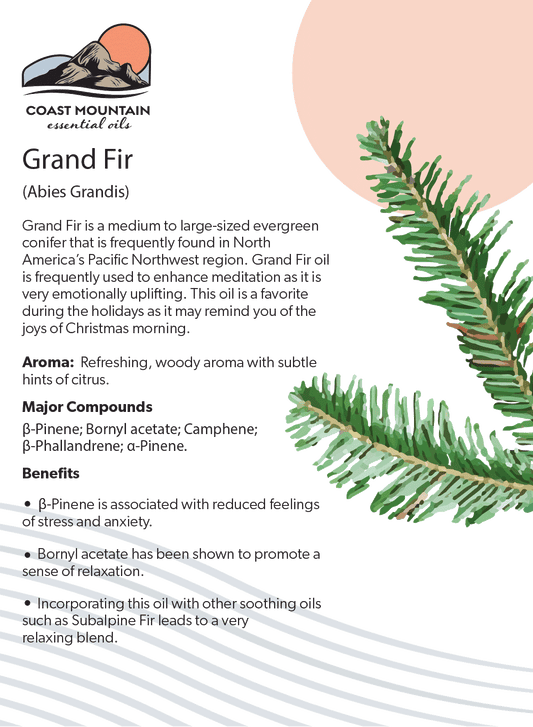 Grand Fir Essential Oil 5ml