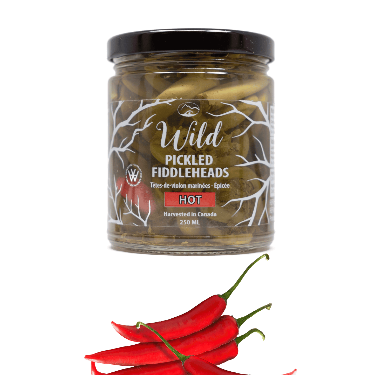 Wild Pickled Fiddleheads 250ml