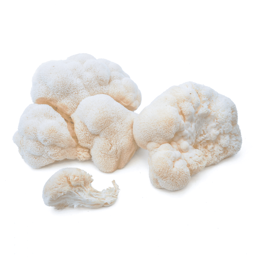 Organic - Lion's Mane Mushrooms