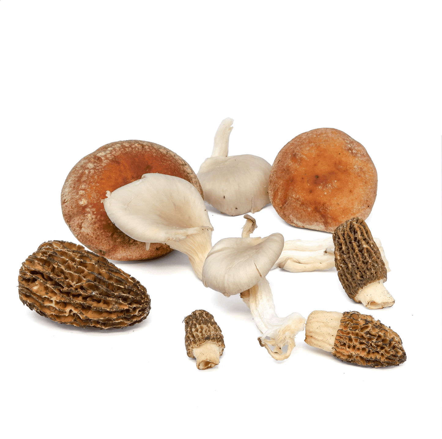 Weekly Rotation - Wild & Exotic Mushrooms