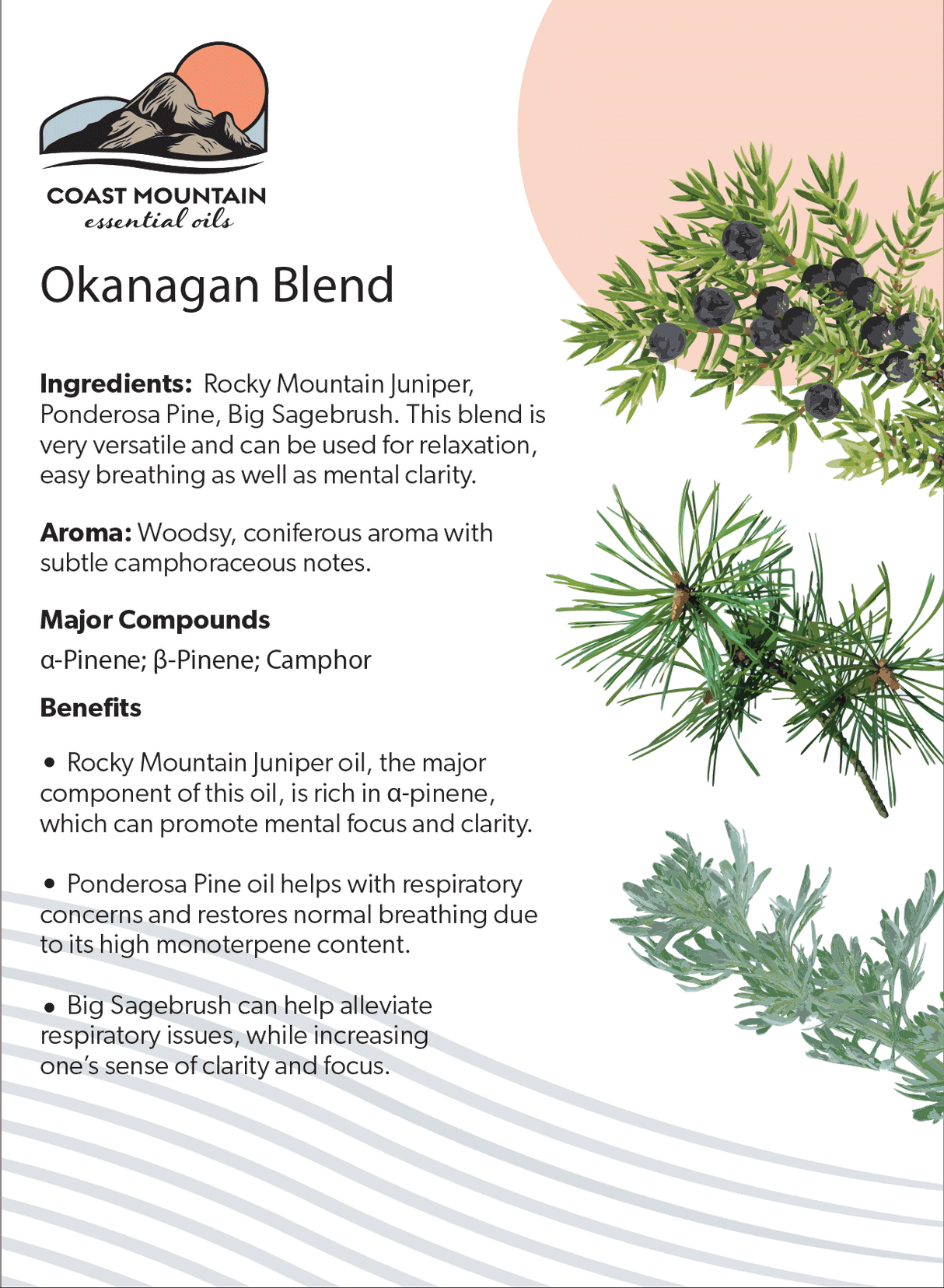 Okanagan Blend Essential Oil 5ml