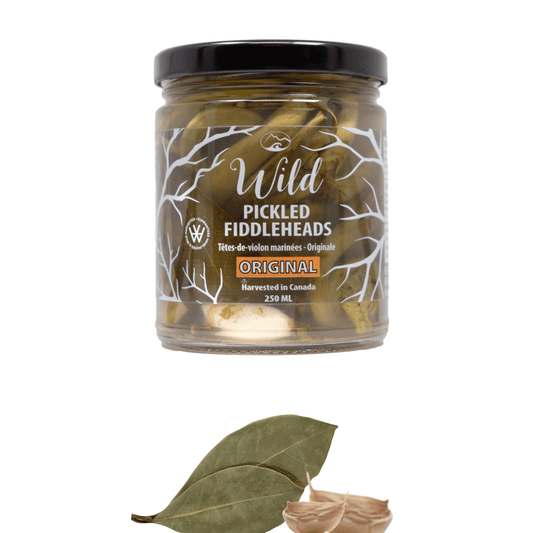 Wild Pickled Fiddleheads 250ml