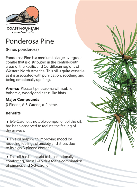 Ponderosa Pine Essential Oil 5ml