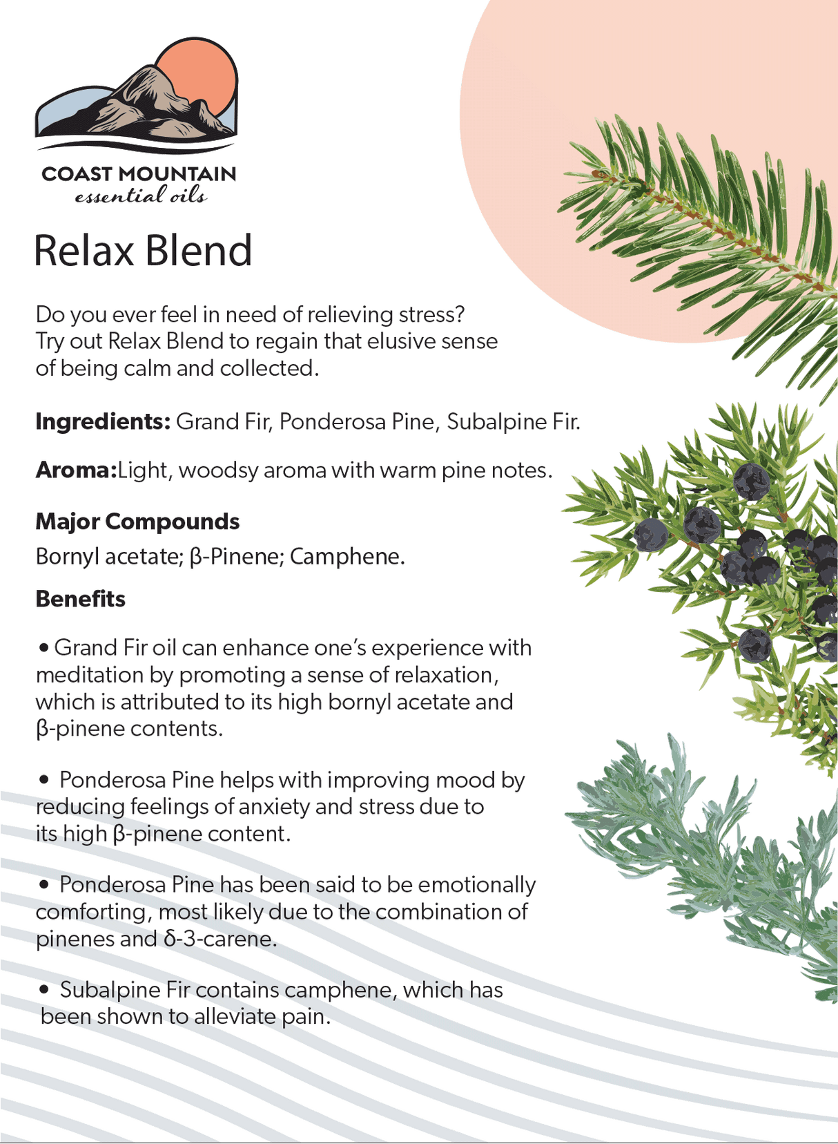 Relax Blend Essential Oil 5ml