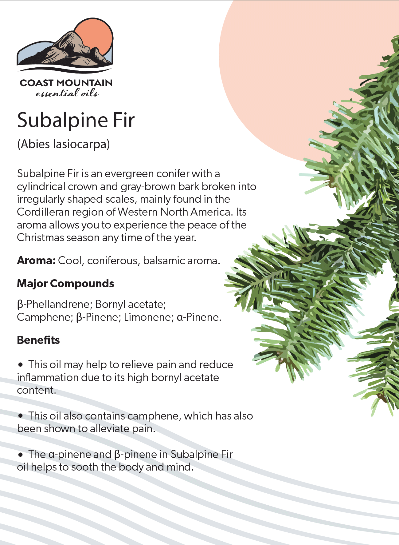 Subalpine Fir Essential Oil 5ml