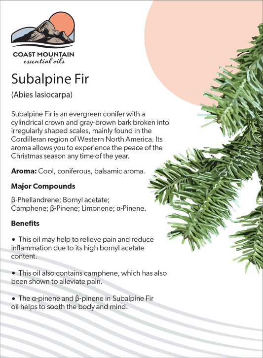 Subalpine Fir Essential Oil 5ml