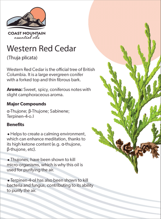 Western Red Cedar Essential Oil 5ml