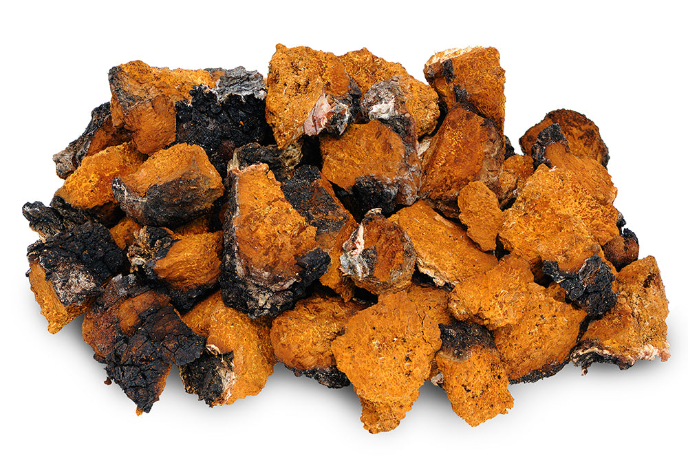 Dried Chaga