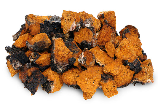 Dried Chaga