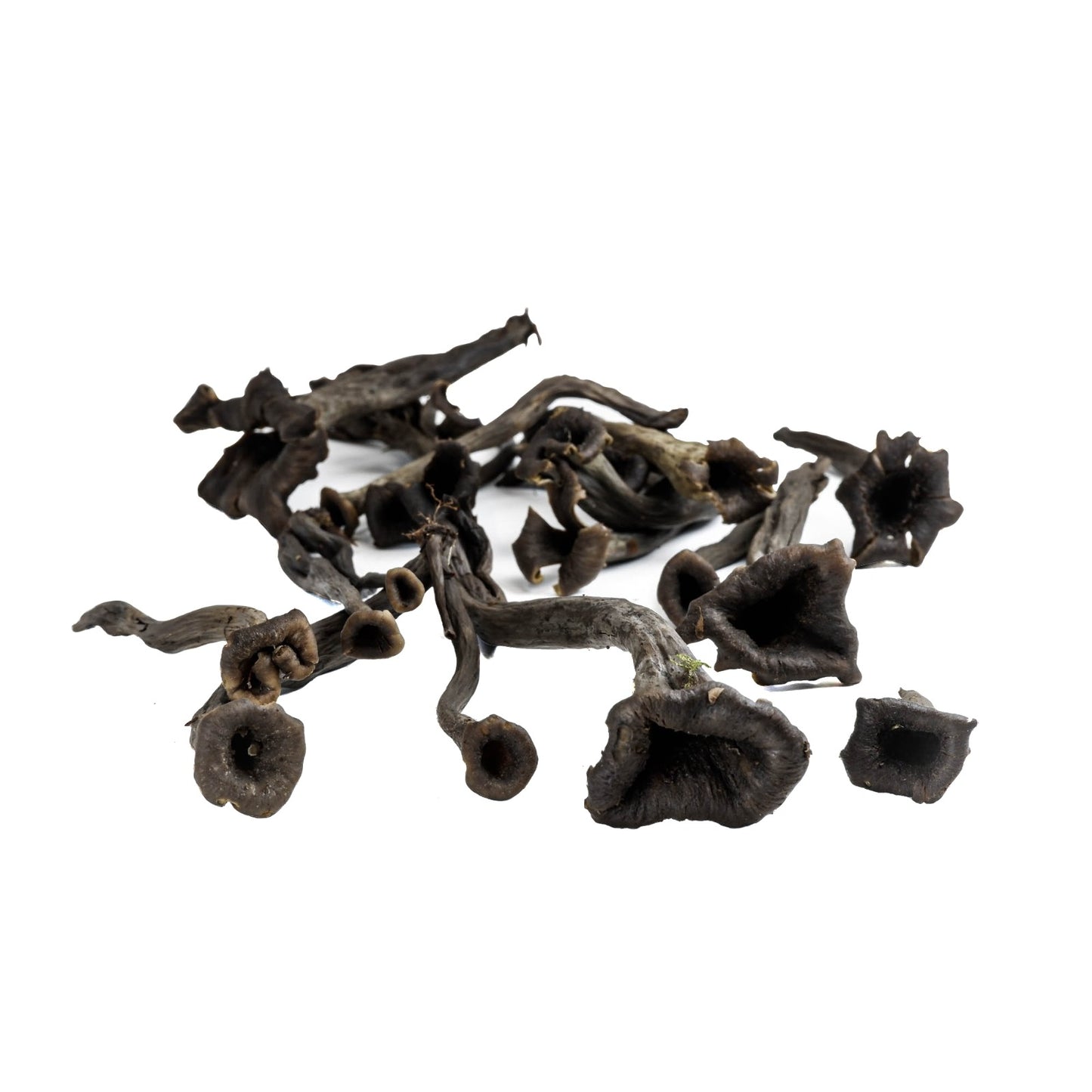 Fresh Black Trumpet Mushroom