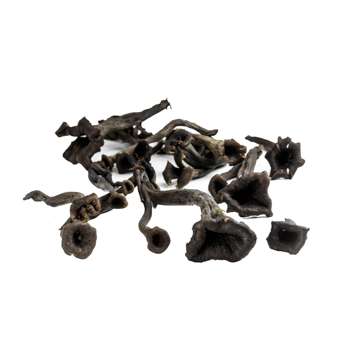 Dried Black Trumpet