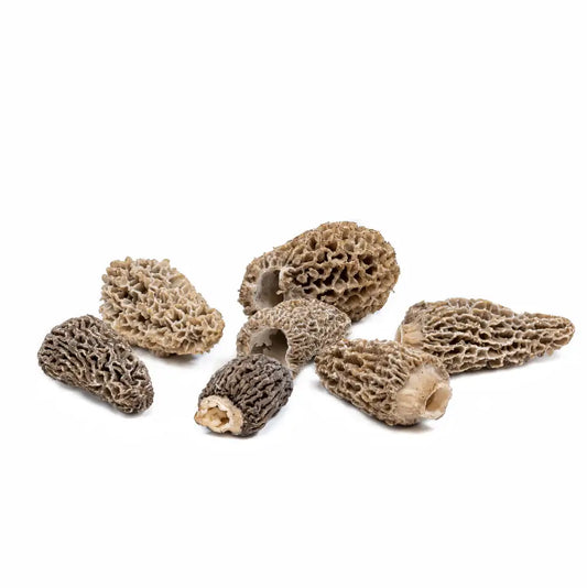 Fresh Wild Morel Mushrooms (Origin / Canada or U.S)