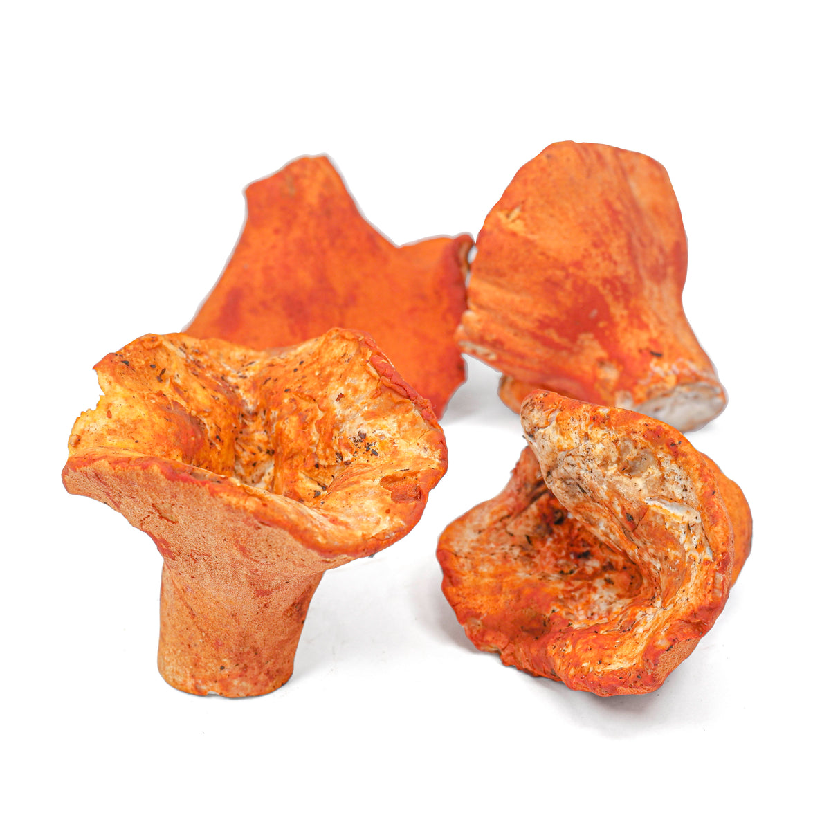 Dried Lobster Mushroom