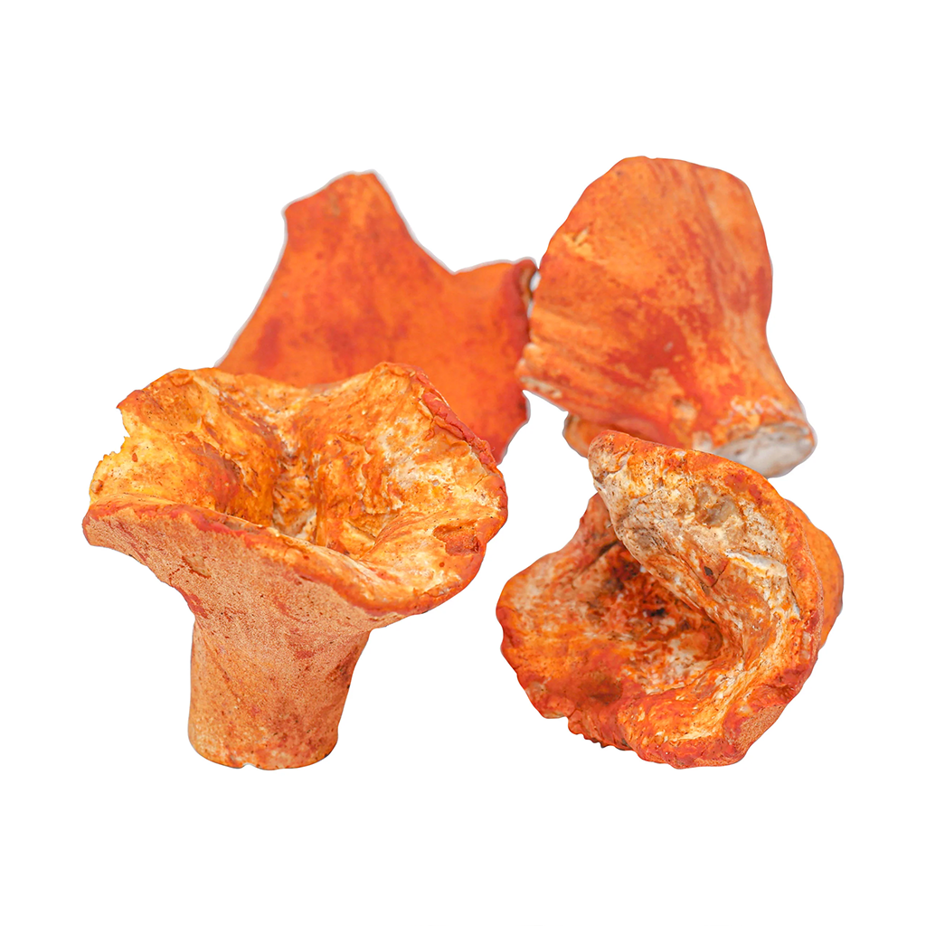 Fresh Lobster Mushroom