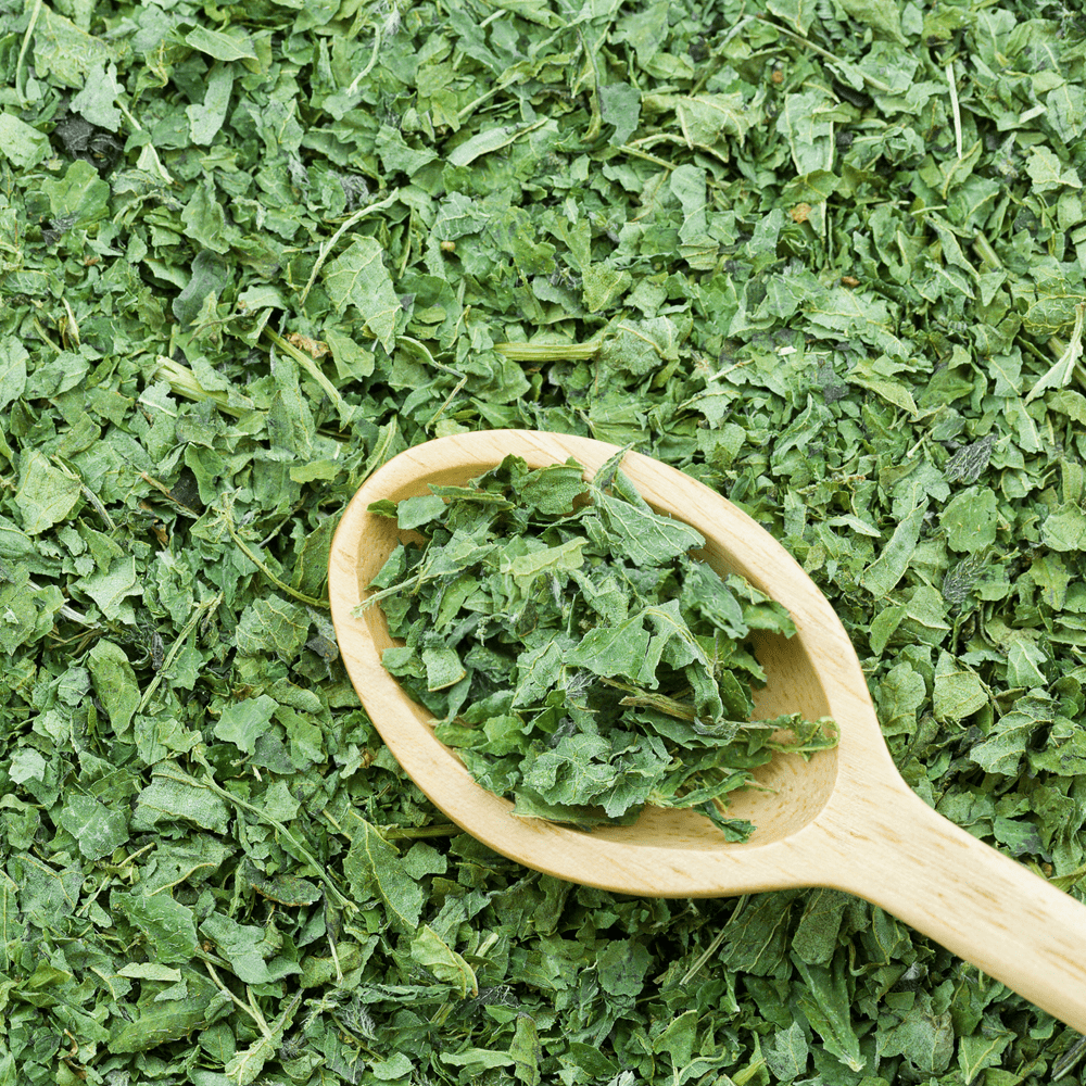 Dried Stinging Nettle