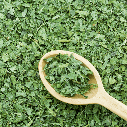 Dried Stinging Nettle