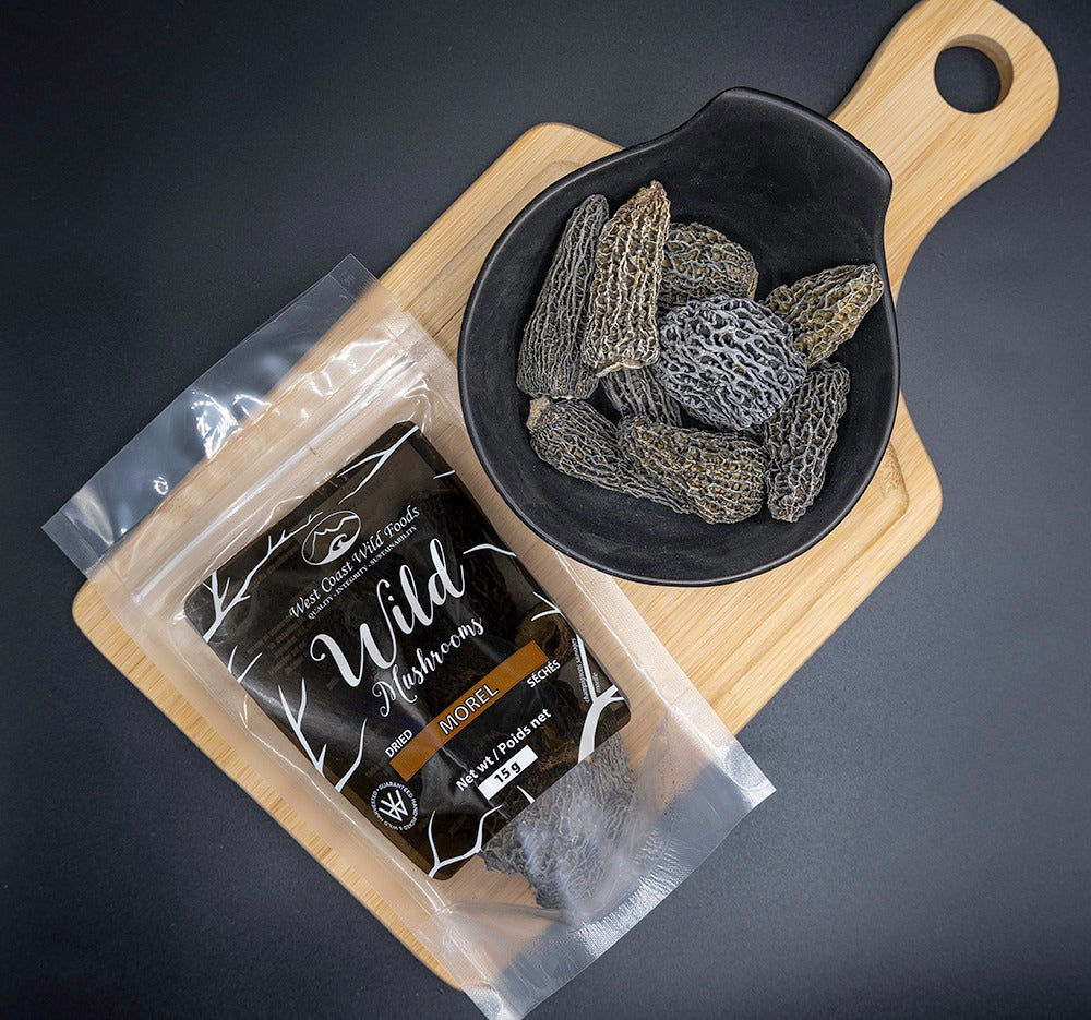 Morel Lifestyle