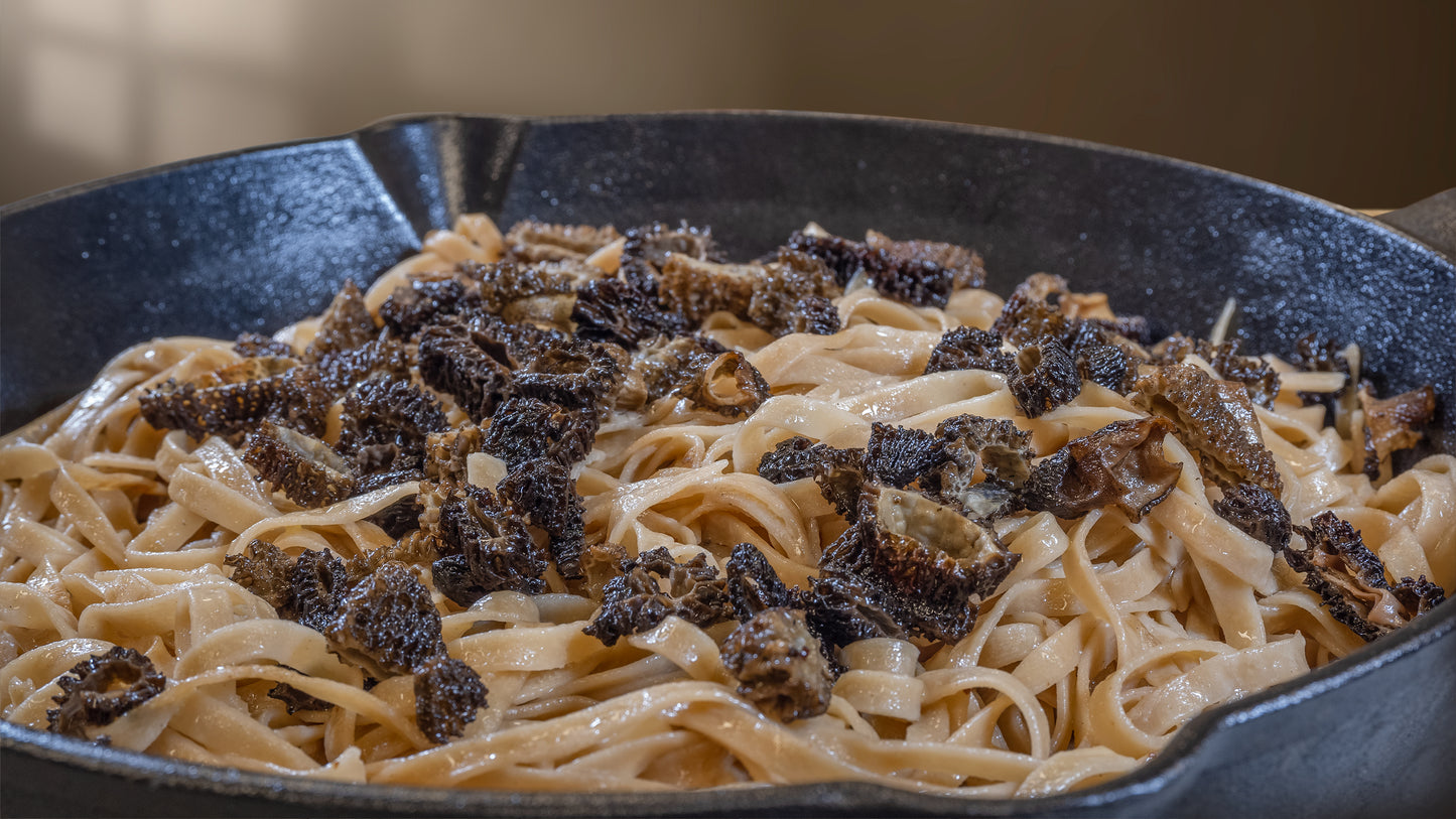 Dried Wild Morel (Origin: Canada/ USA)