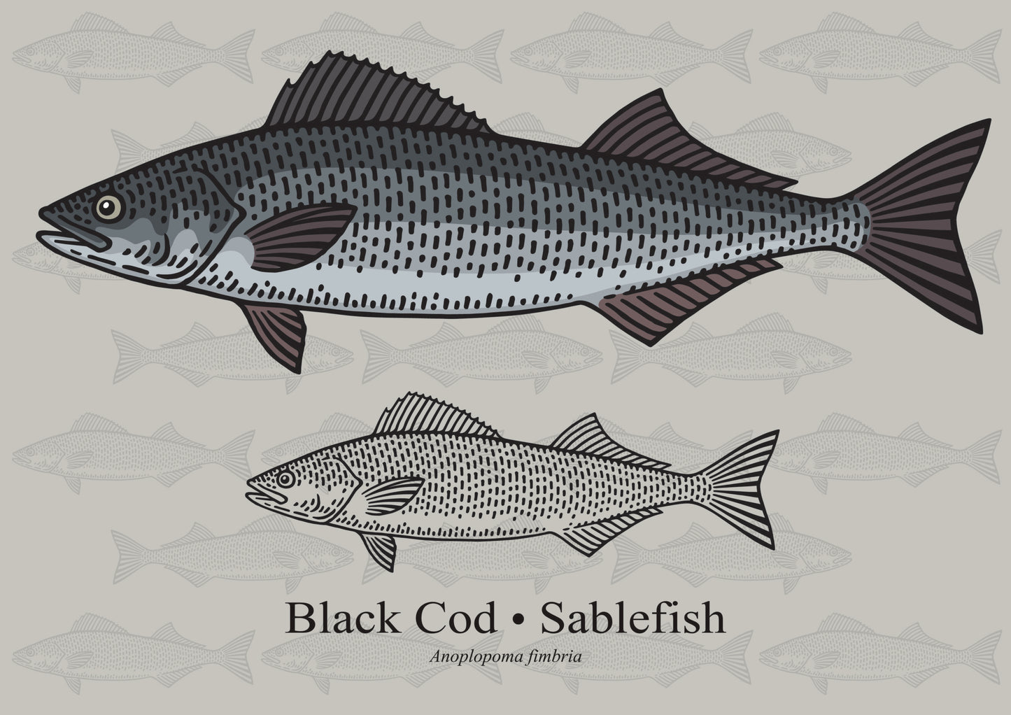 Frozen Wild Fish - Sablefish