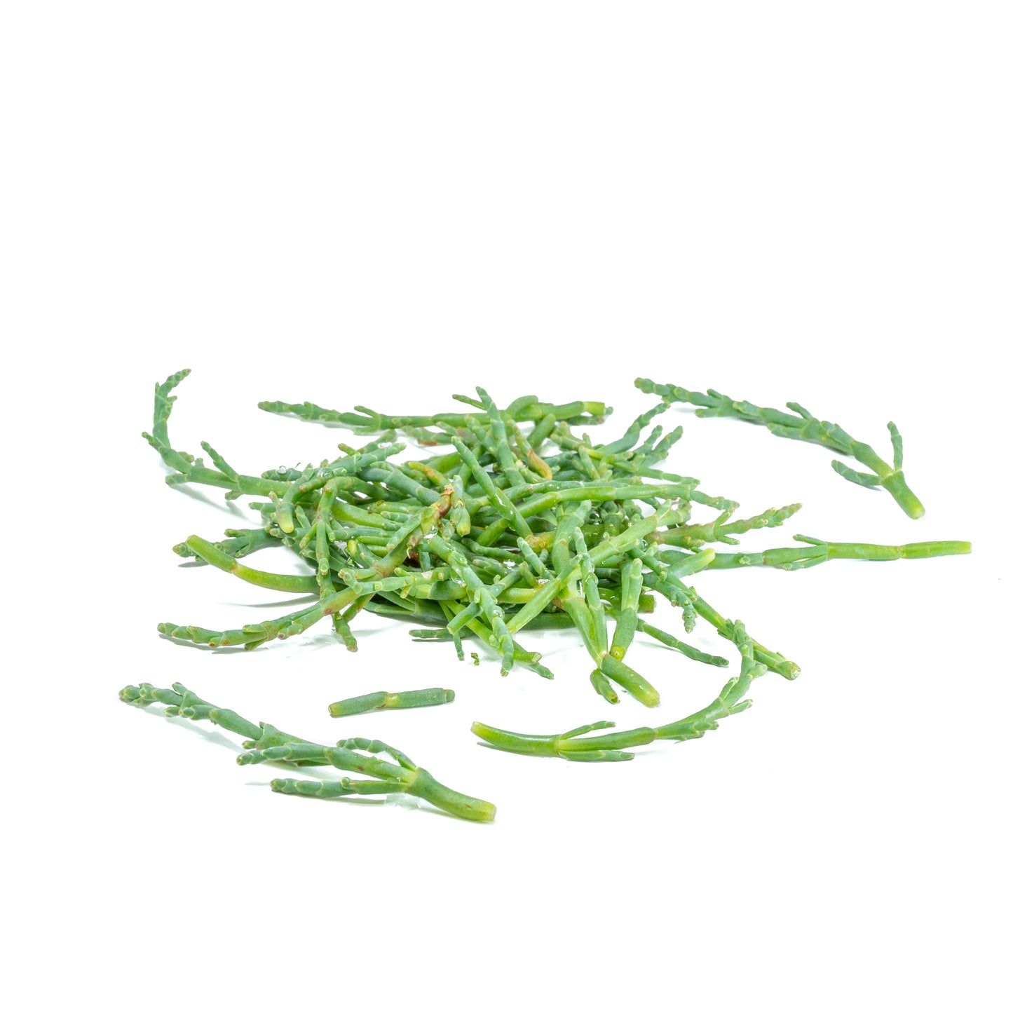Frozen Sea Asparagus / Sea Beans