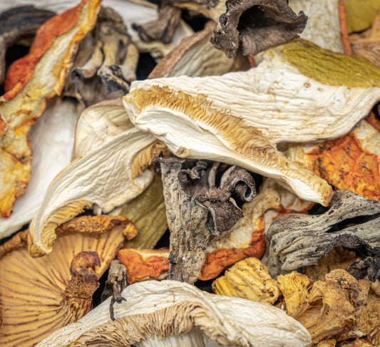 Dried Wild Mushroom Mix