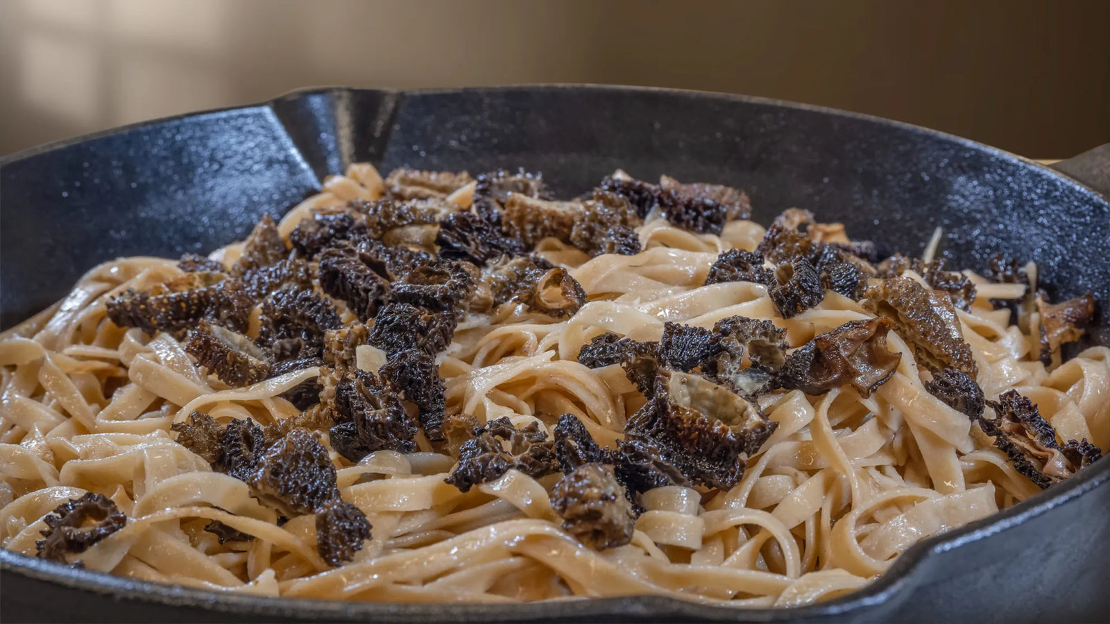 Morel & Porcini Tagliatelle with Italian White Truffle Sauce