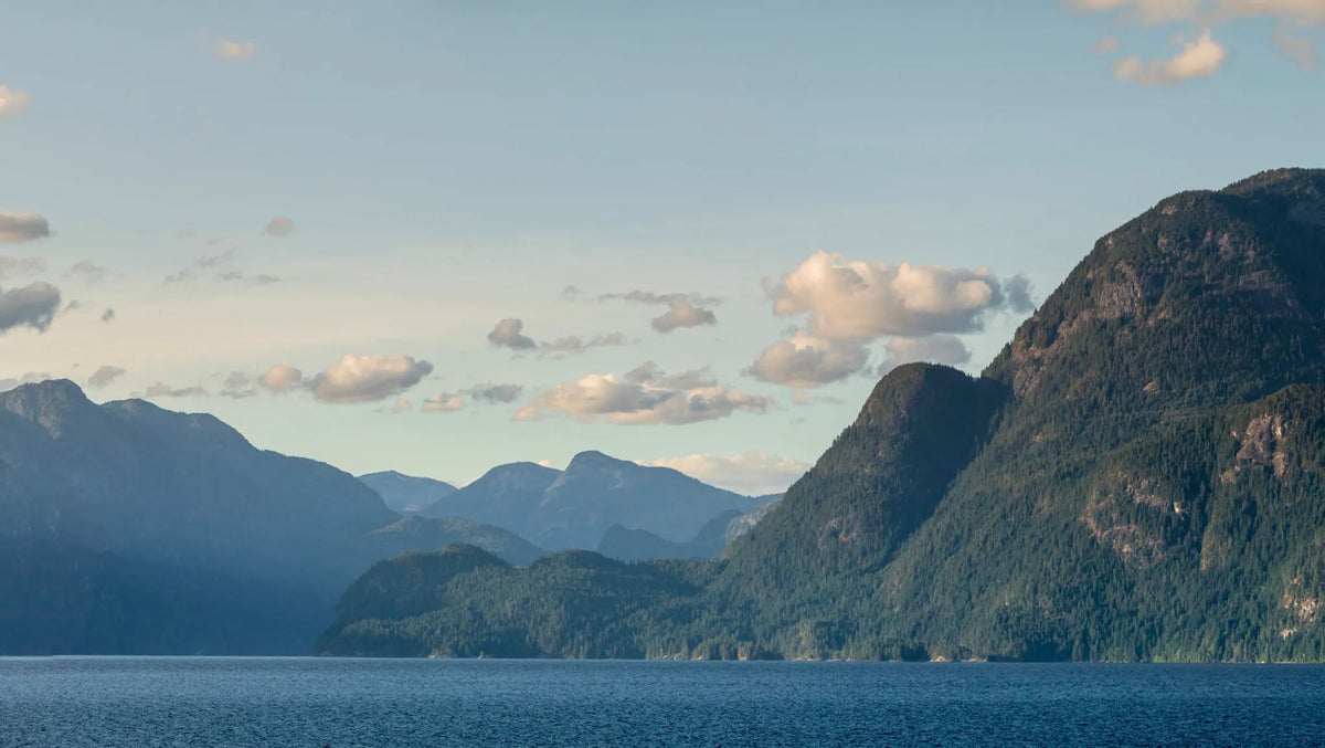 Where Forest meets Sea: A partnership between West Coast Wild Foods & The Fisherman’s Market