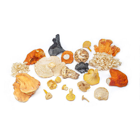 Fresh Wild Mushrooms