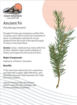 Ancient Fir Essential Oil 5ml