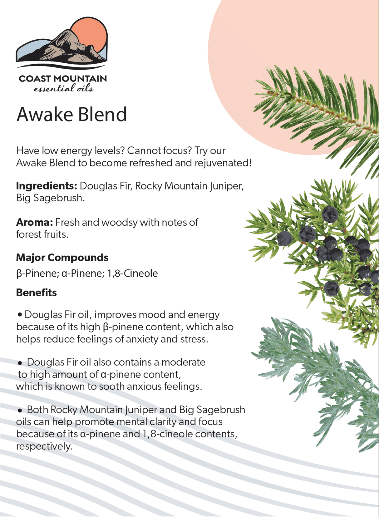 Awake Blend Essential Oil 5ml