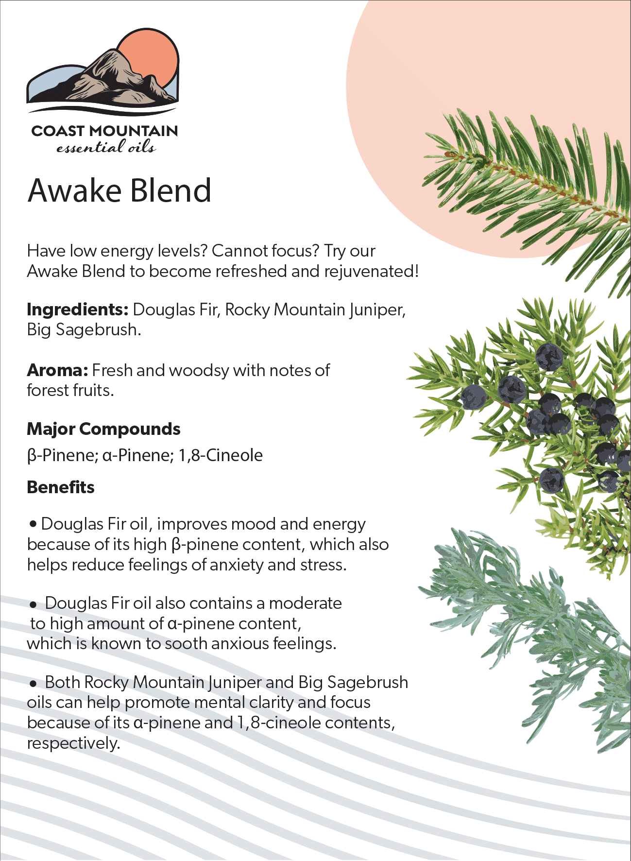 Awake Blend Essential Oil 5ml