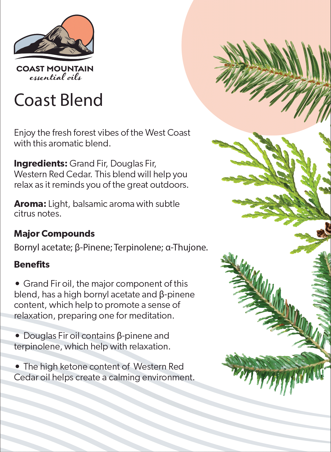 Coast Blend Essential Oil 5ml