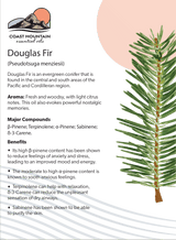 Douglas Fir Essential Oil