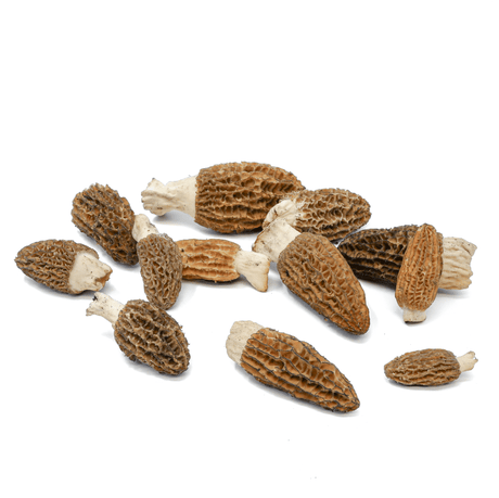 Frozen Wild Morel Mushrooms (Origin / Canada)