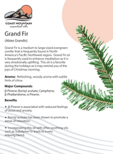 Grand Fir Essential Oil 5ml