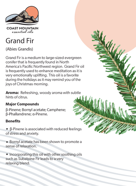 Grand Fir Essential Oil 5ml