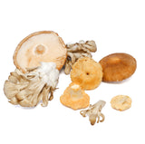 The Perfect Chef's Blend