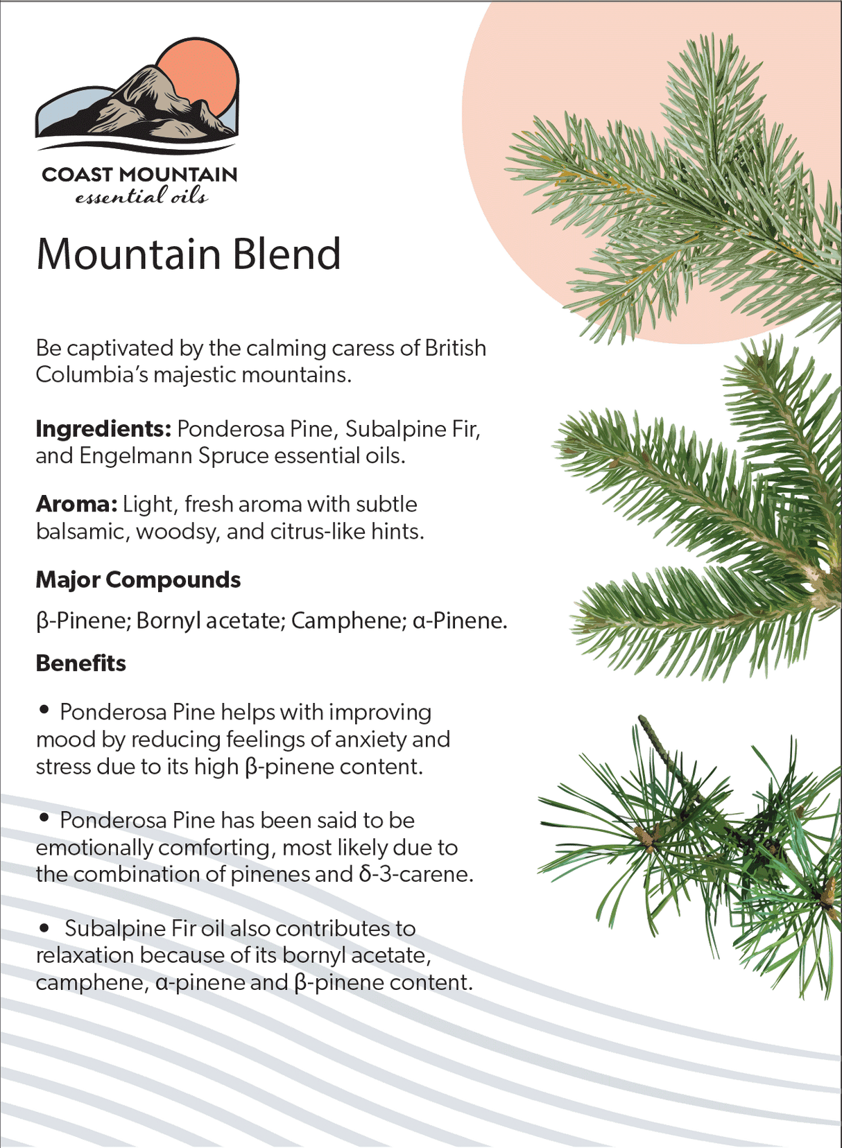 Mountain Blend Essential Oil 5ml