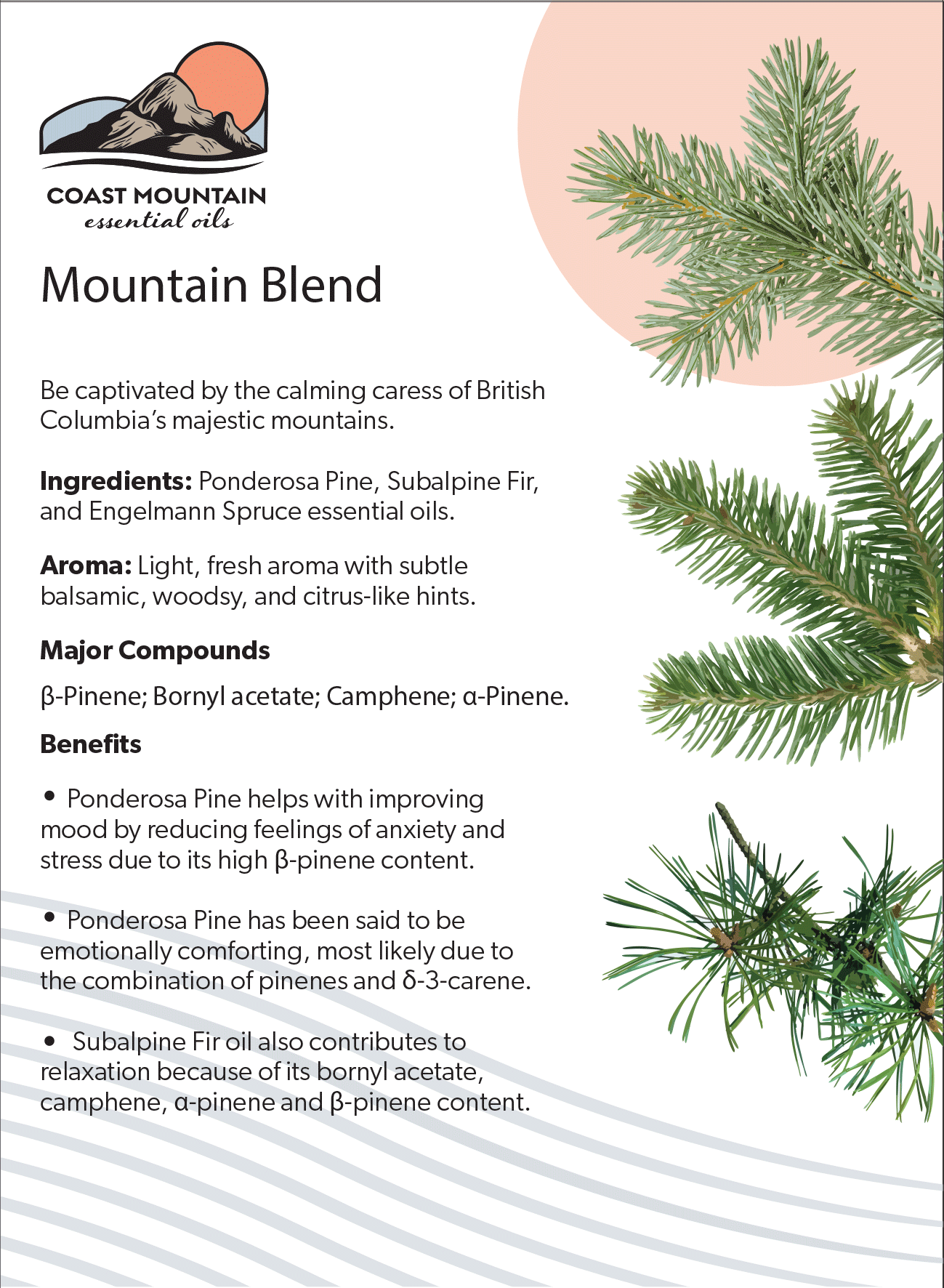 Mountain Blend Essential Oil 5ml