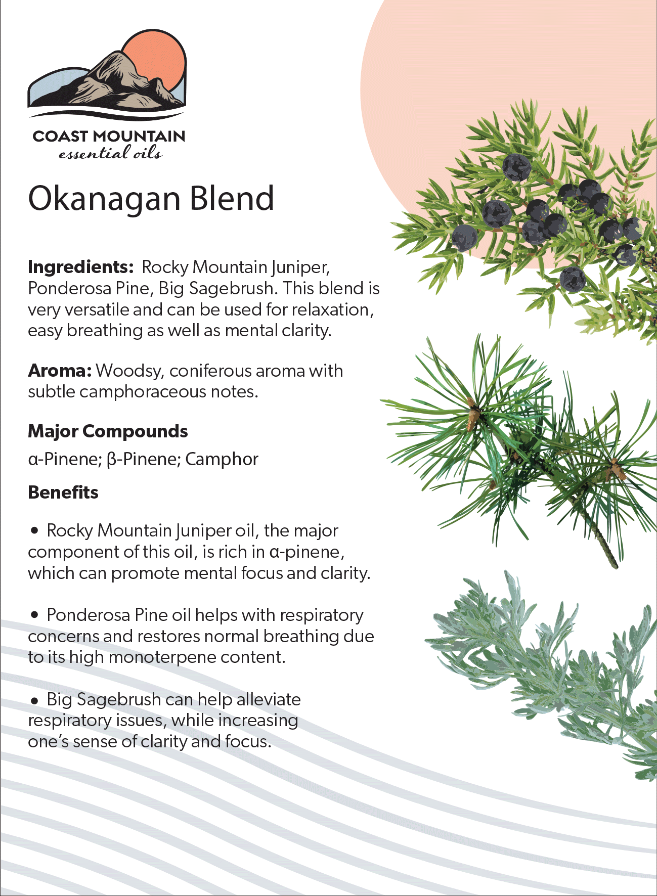 Okanagan Blend Essential Oil 5ml