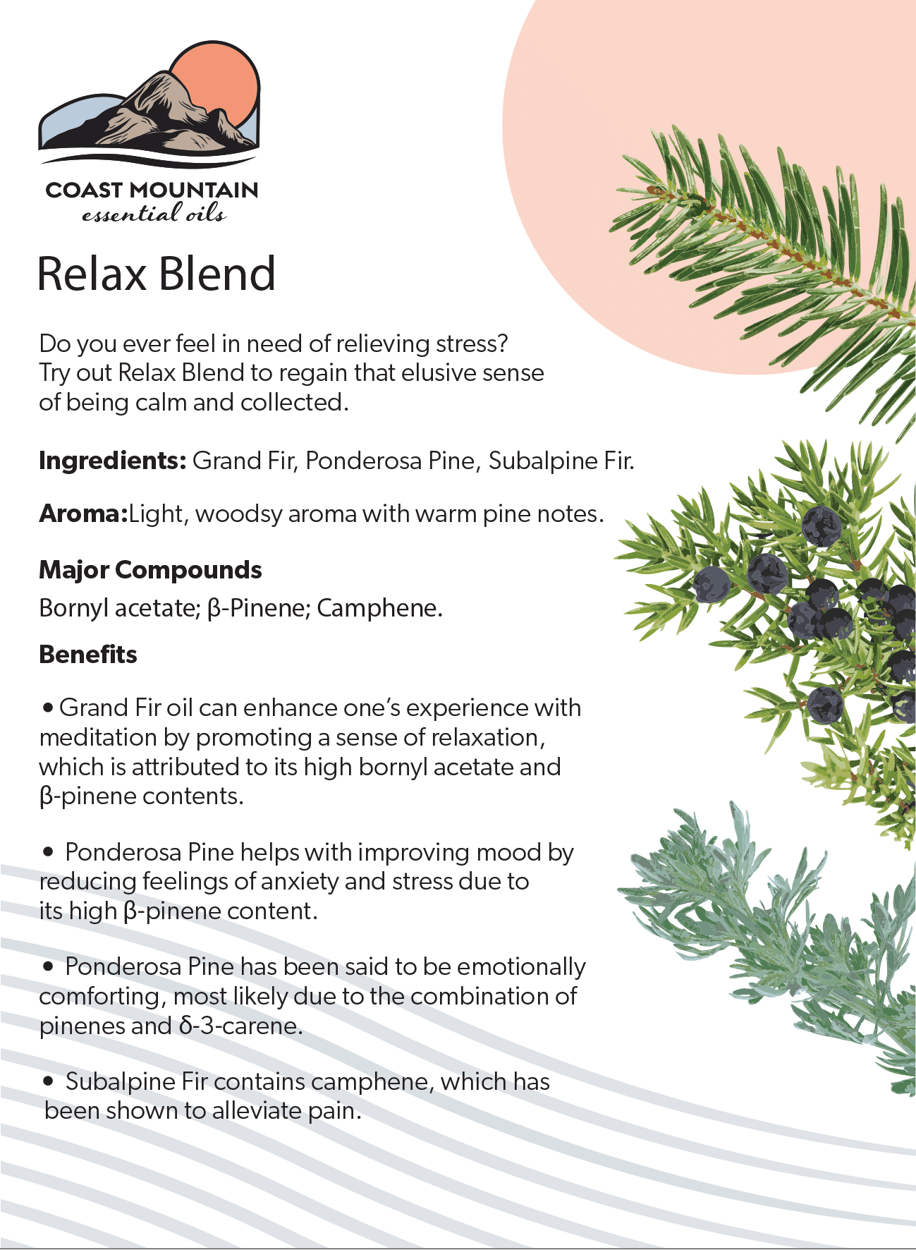 Relax Blend Essential Oil 5ml