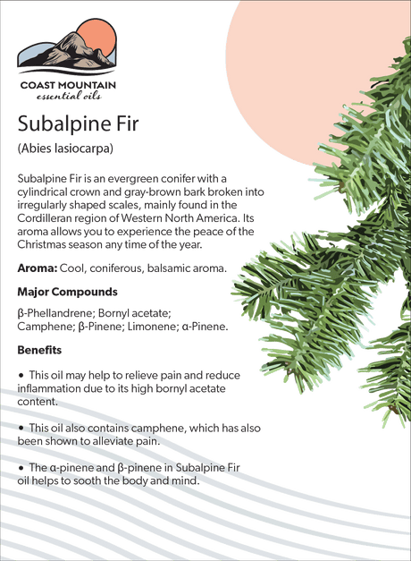 Subalpine Fir Essential Oil 5ml